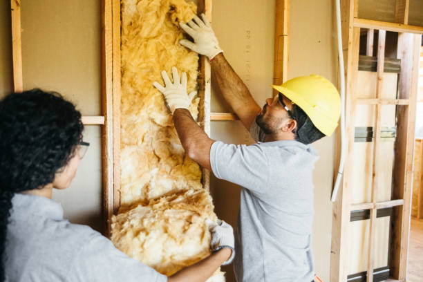 Insulation Air Sealing in Flora Vista, NM